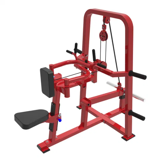2023 Latest Maxpump Sport Commercial Gym Equipment with Vertical Row